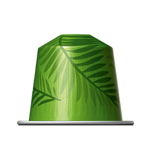 RIO DE JANEIRO ESPRESSO